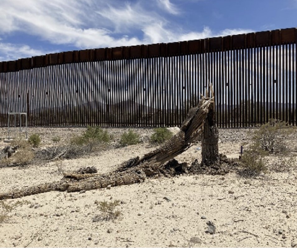 Local environmentalists discuss federal border construction impact on public lands, wildlife - AZ Luminaria